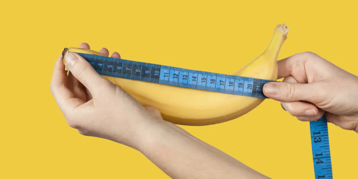 measuring the size of a banana as a symbol of the male penis big dick length strong erection and impotence problem measuring the size of a banana as a symbol of the male penis big dick length strong erection and impotence problem