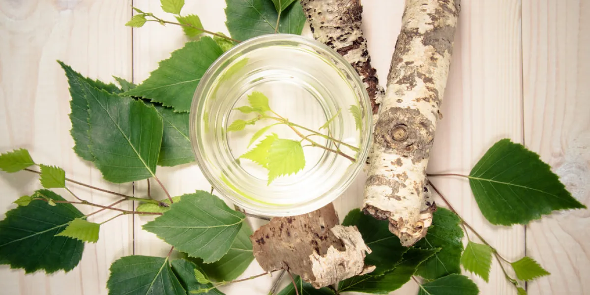 a glass of birch juice on white wooden background close up a glass of birch juice on white wooden background close up