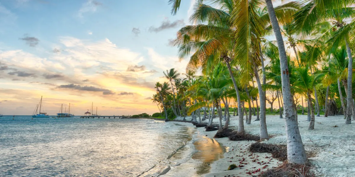 sunset over anse champagne beach in saint francois, guadeloupe, caribbean sunset over anse champagne beach in saint francois, guadeloupe, caribbean