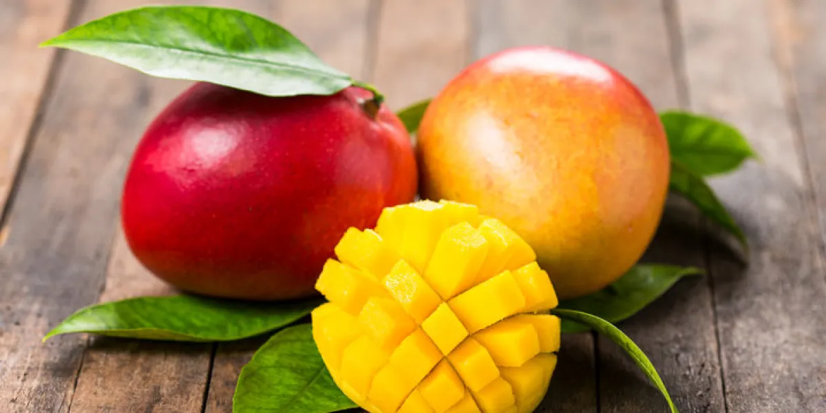 fresh mango fruit fresh mango fruit