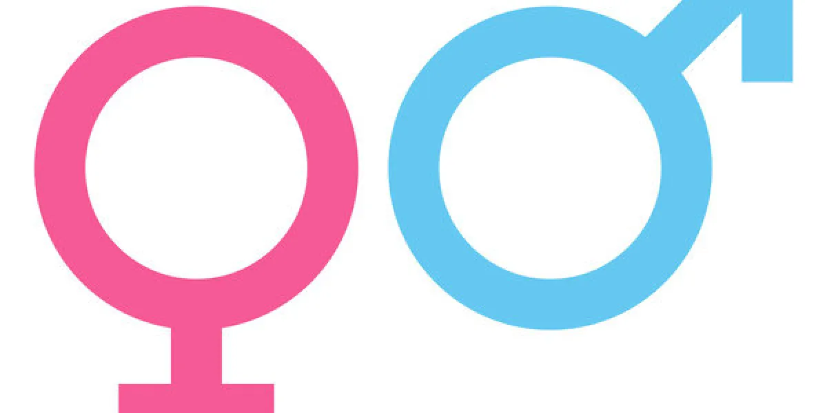 female & male icon female & male icon