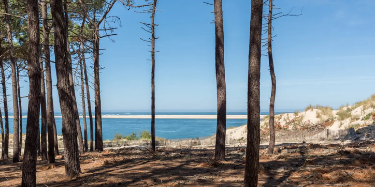 the beach petit nice, in front of the arguin sandbank and close to the dune of pilat
