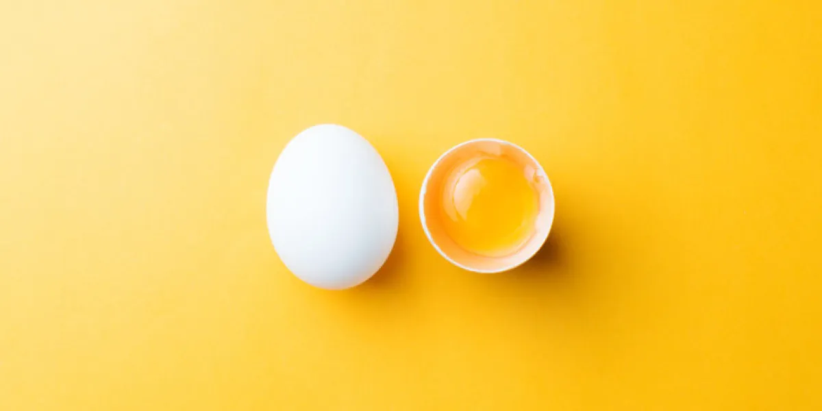 white egg and egg yolk on the yellow background topview white egg and egg yolk on the yellow background topview