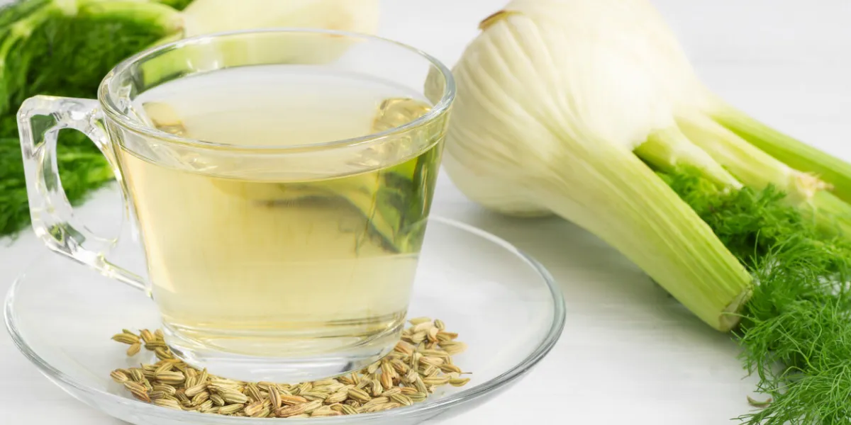 herbal infusion fennel tea in glass cup or mug with dried fennel seeds and fennel bulbs alternative medicine background concept (foeniculum vulgare)