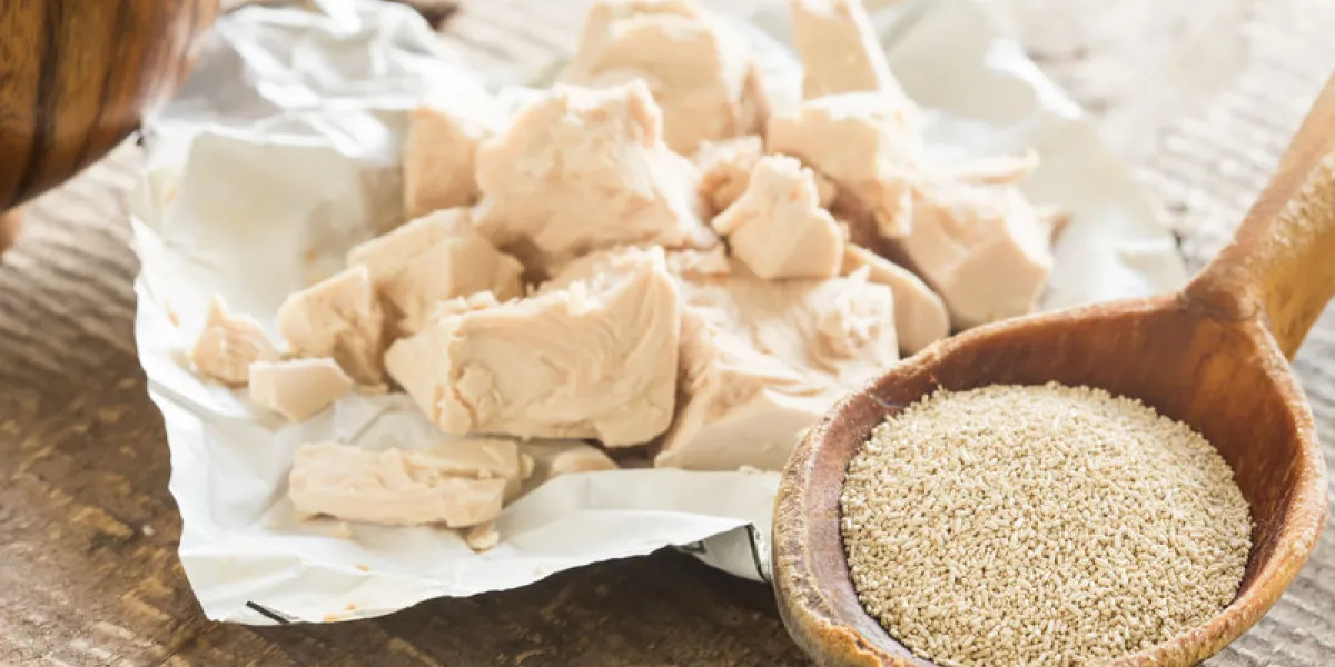 dry and fresh yeast on old wooden backgroud rustic style selective focus natural organic bio eco products dry and fresh yeast on old wooden backgroud rustic style selective focus natural organic bio eco products