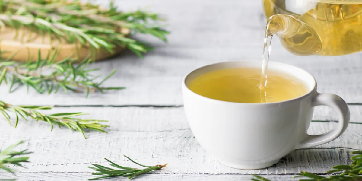 white cup of healthy rosemary tea pouring from teapot with fresh