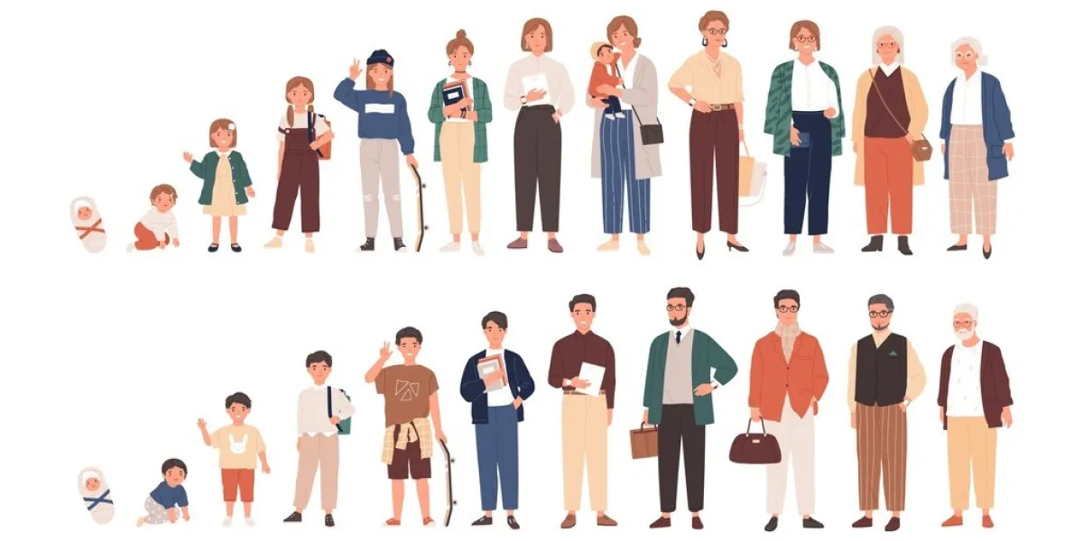 human life cycles vector illustration male and female growing up and aging men and women of different ages cartoon characters children, adult and old people isolated on white background human life cycles vector illustration male and female growing up and aging men and women of different ages cartoon characters children, adult and old people isolated on white background