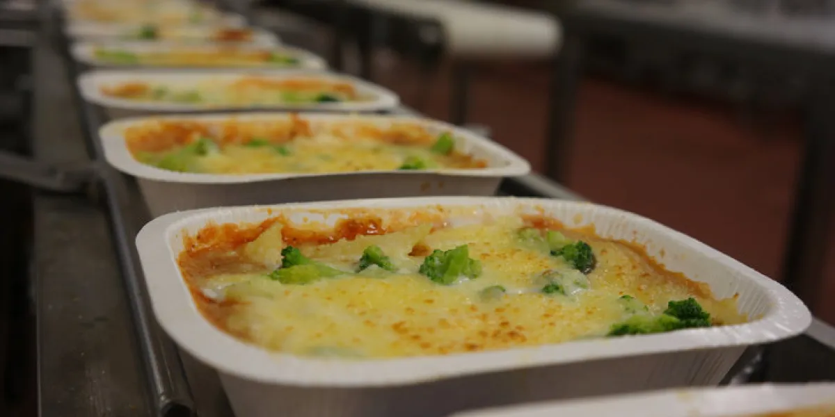 high speed factory manufacture - vegetarian meal