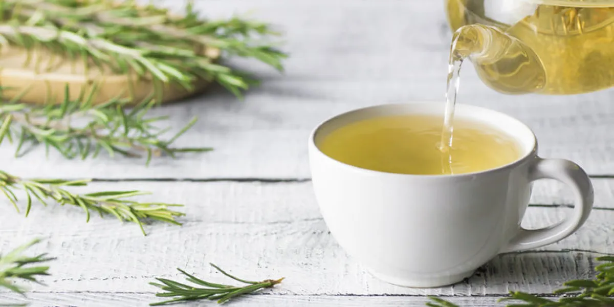 white cup of healthy rosemary tea pouring from teapot with fresh rosemary bunch on white wooden rustic background, winter herbal hot drink concept, salvia rosmarinus