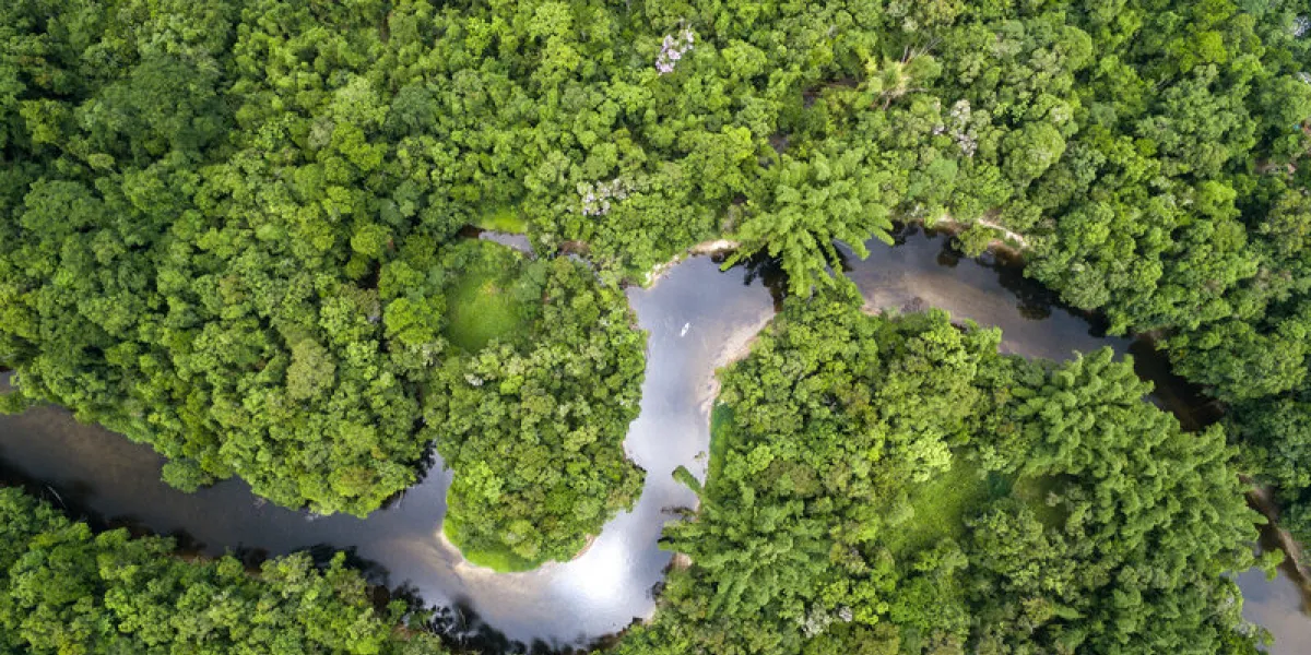 top view of amazon rainforest, brazil