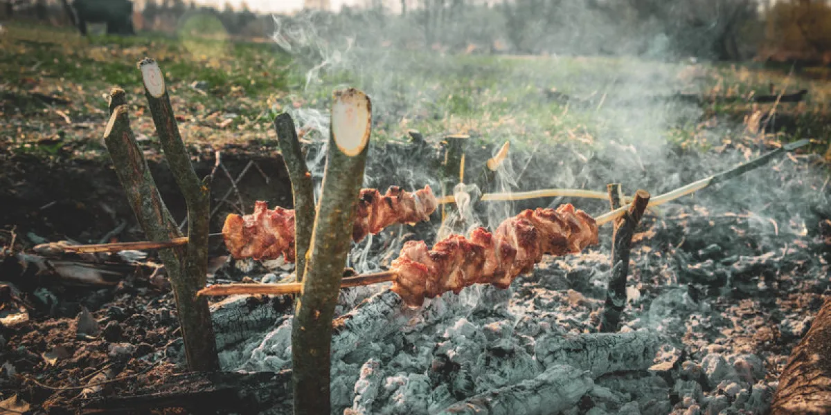 meat on the stick grilled in the fire bushcraft concept
