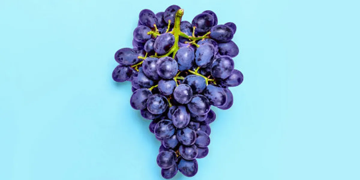 natural organic black juicy grapes on a trend pink millennial background top view flat lay natural organic black juicy grapes on a trend pink millennial background top view flat lay