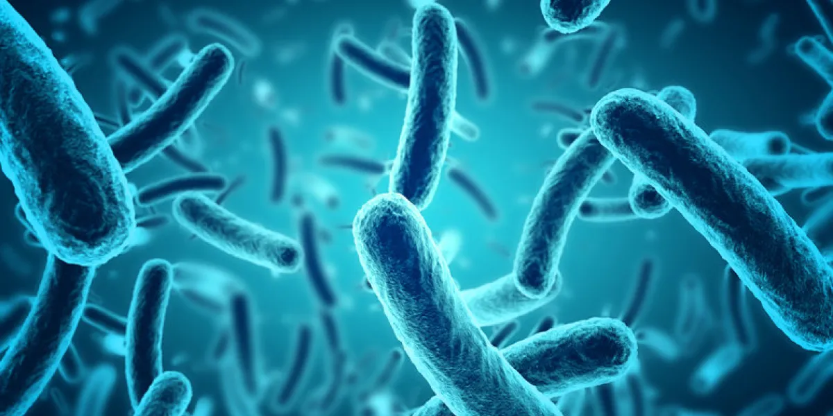 close up of 3d microscopic blue bacteria close up of 3d microscopic blue bacteria