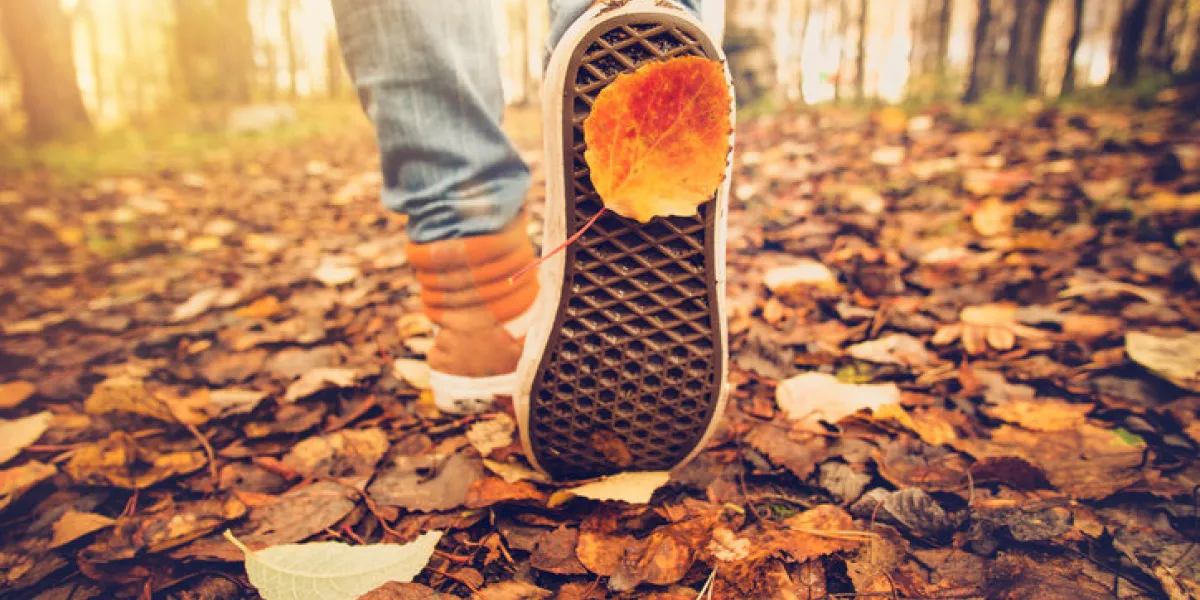feet sneakers walking on fall leaves outdoor with autumn season nature on background lifestyle fashion trendy style feet sneakers walking on fall leaves outdoor with autumn season nature on background lifestyle fashion trendy style