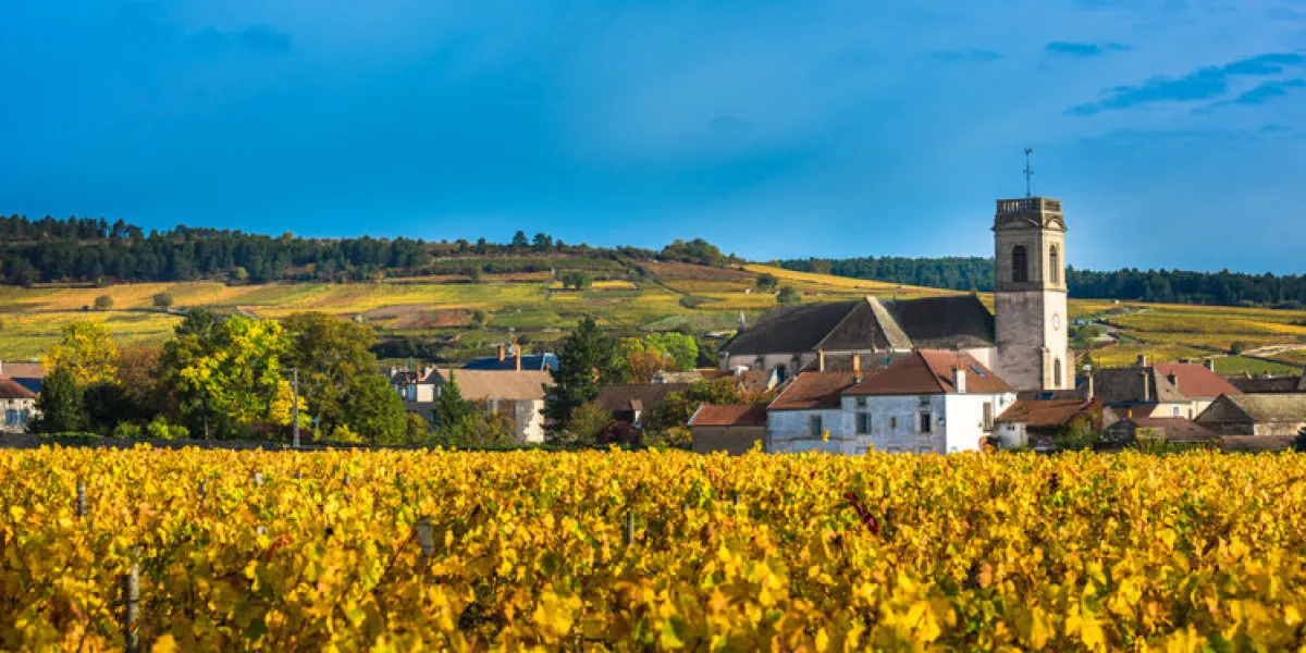 chateau with vineyards in the autumn season, burgundy, france chateau with vineyards in the autumn season, burgundy, france