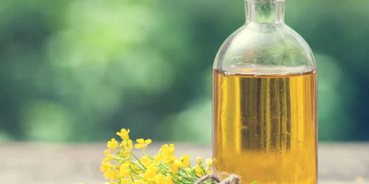 bottle of rapeseed oil (canola) and rape flowers bunch on table outdoors