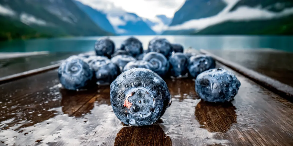 blueberry antioxidants on a wooden table on a background of norwegian nature