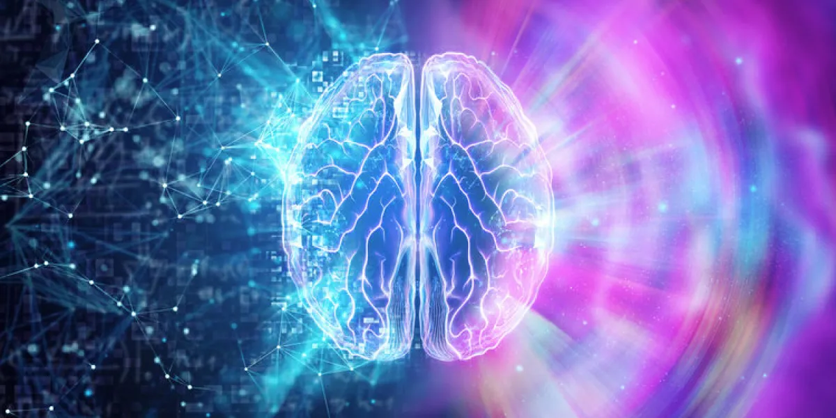 creative background, the human brain on a blue background, the hemisphere is responsible for logic, and responsible for creativity different hemispheres of the brain, 3d illustration, 3d render