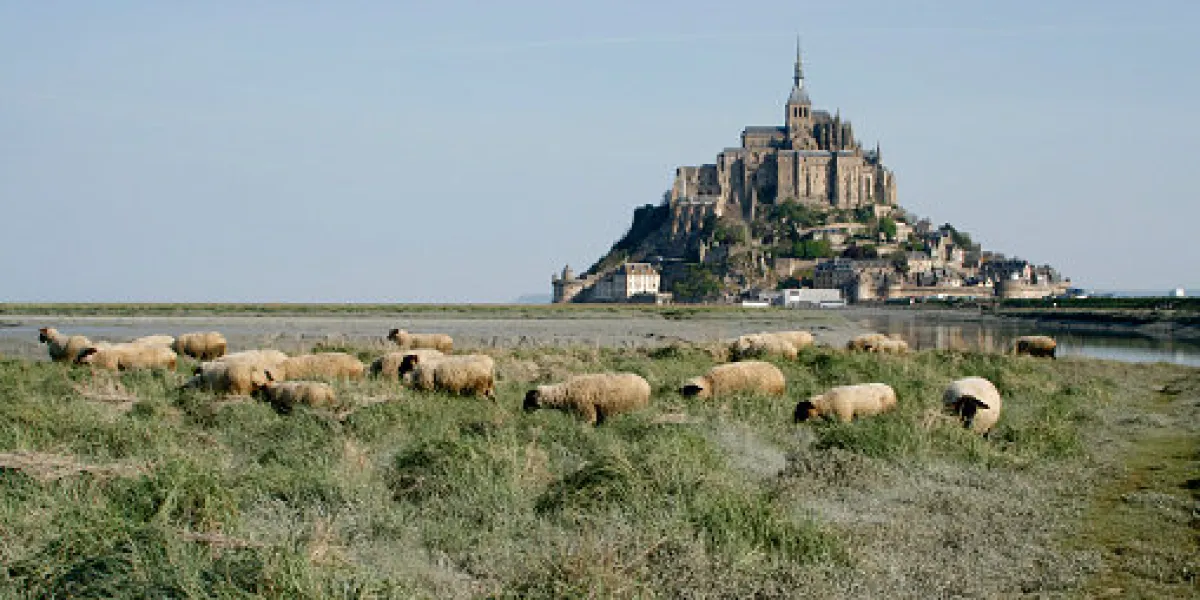 natural land in front of saint michel mount