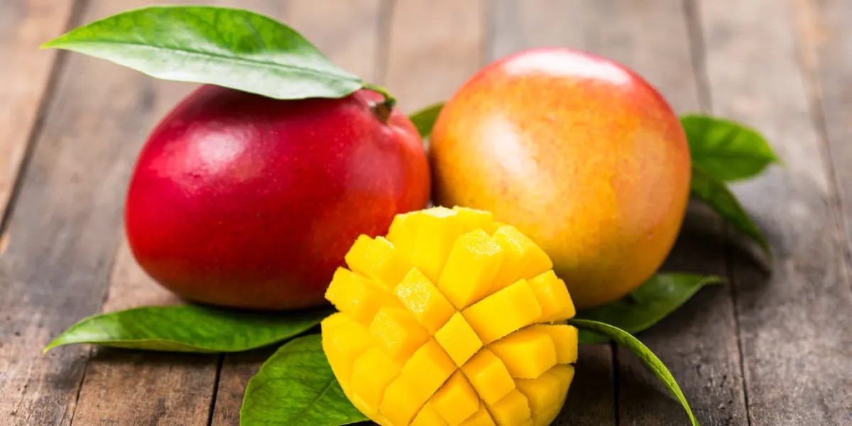 fresh mango fruit fresh mango fruit