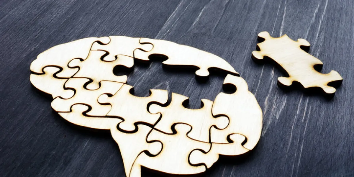 brain from wooden puzzles mental health and problems with memory brain from wooden puzzles mental health and problems with memory