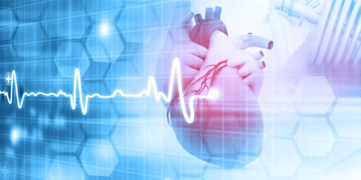 human heart on abstract dark background 3d illustration human heart on abstract dark background 3d illustration