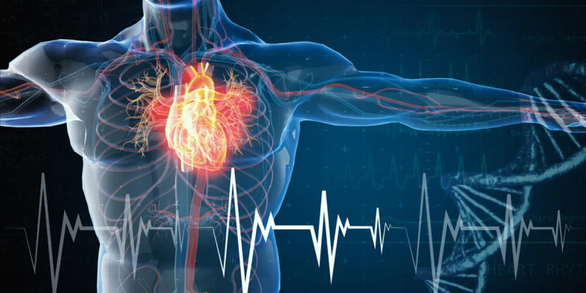 heart attack and heart disease heart attack and heart disease