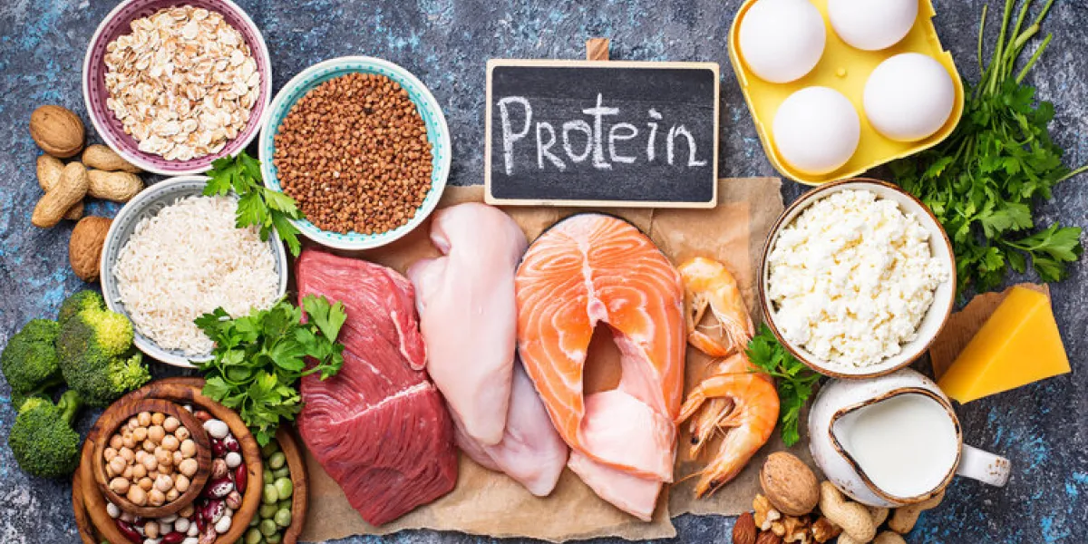 healthy food high in protein meat, fish, dairy products, nuts and beans top view healthy food high in protein meat, fish, dairy products, nuts and beans top view