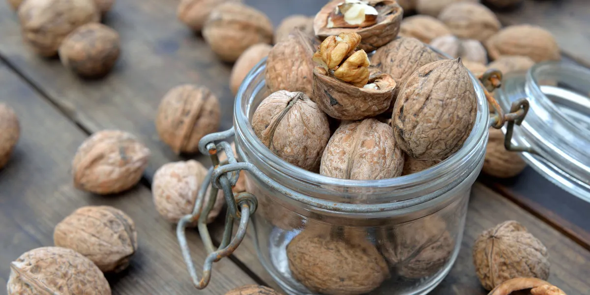 closeup on walnuts in a glass jar among others on wooden table closeup on walnuts in a glass jar among others on wooden table