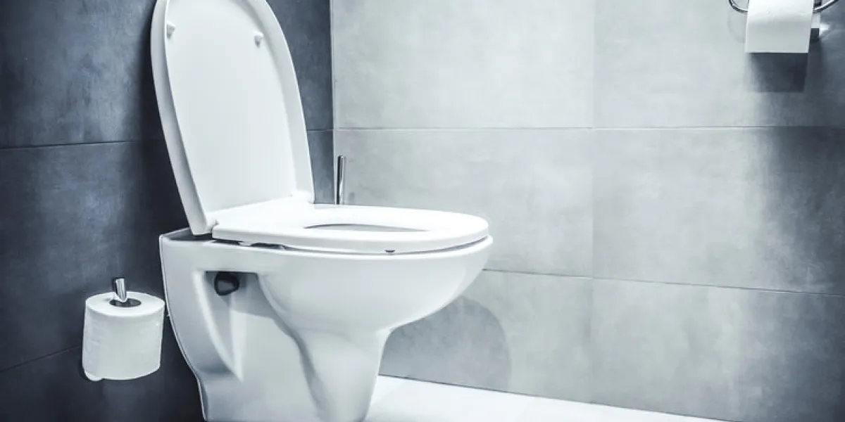 ceramic white toilet bowl near grey wall, side light in the modern bathroom ceramic white toilet bowl near grey wall, side light in the modern bathroom
