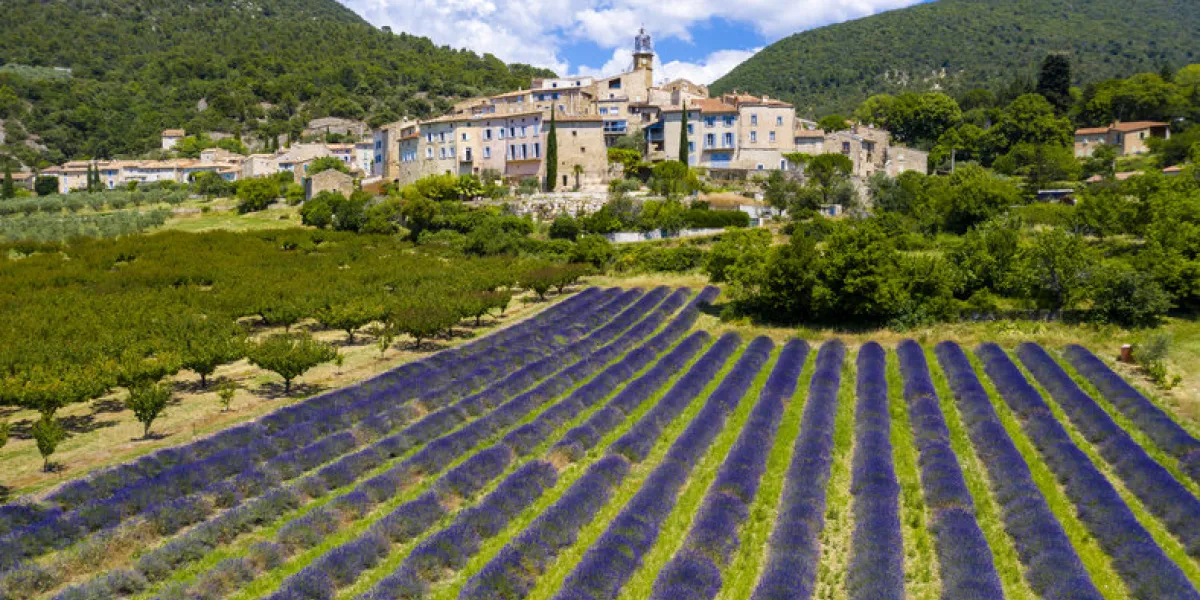 provence in france, lavender field and village of grigan provence in france, lavender field and village of grigan