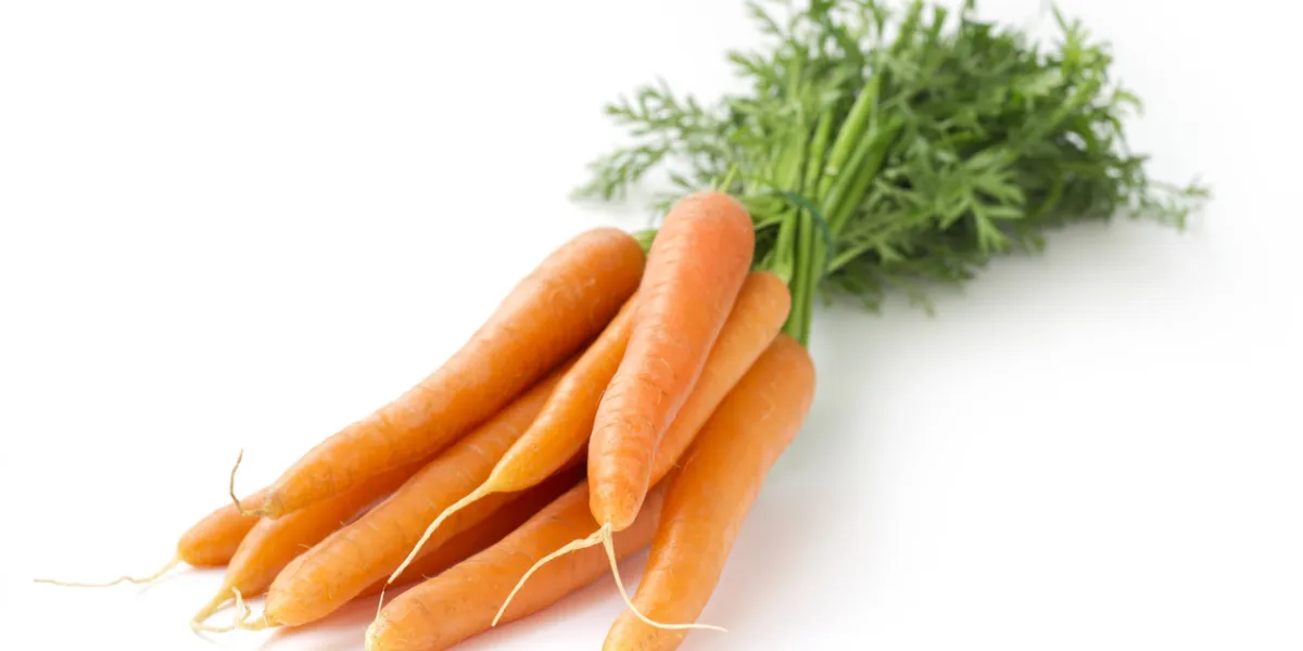 close up of a bunch of carrots on white background close up of a bunch of carrots on white background