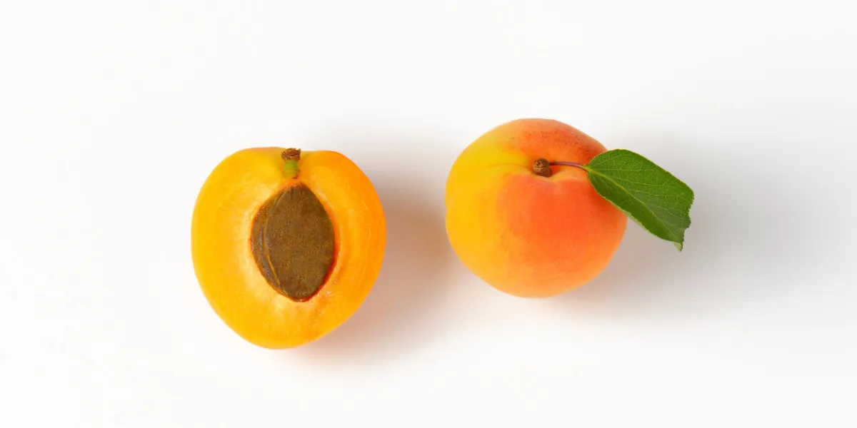 fresh apricots on white background fresh apricots on white background
