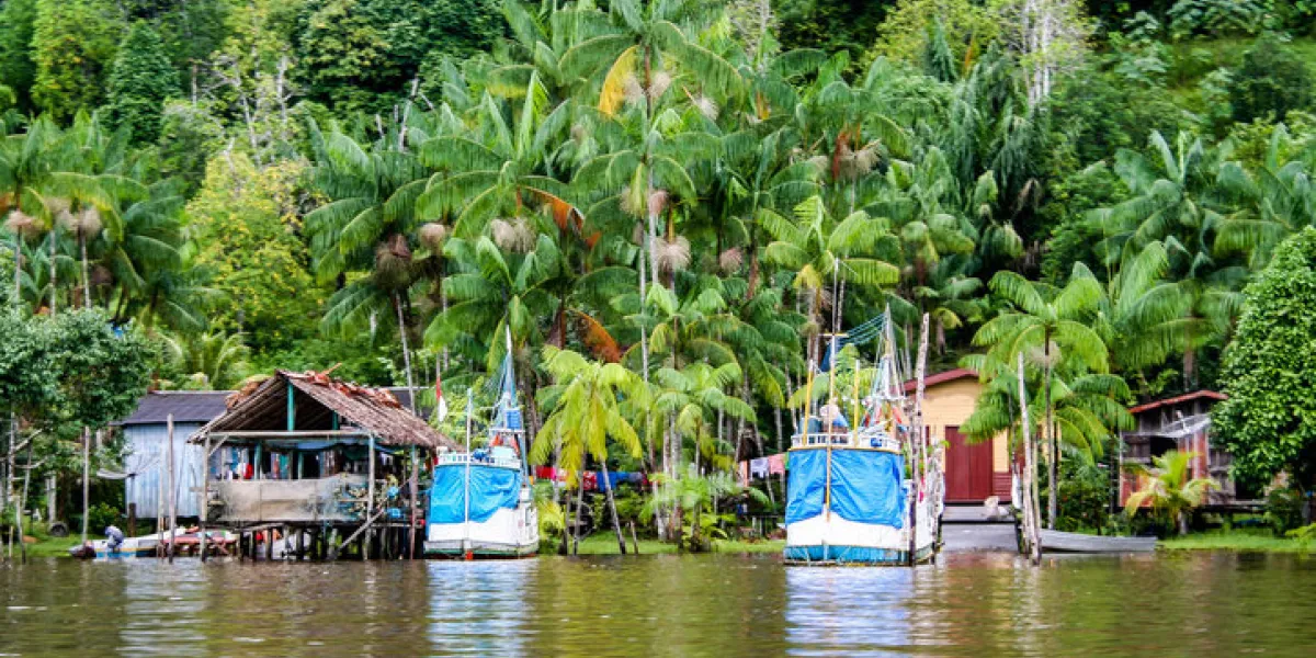 local village in french guiana, south america