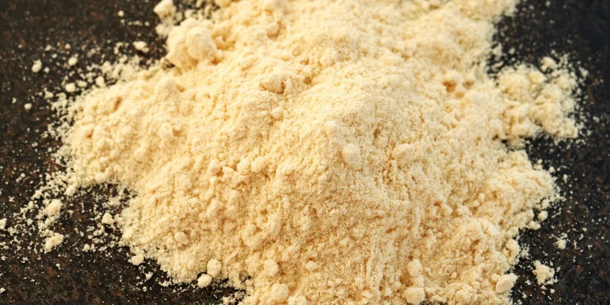 Champignon crinière de lion poudre