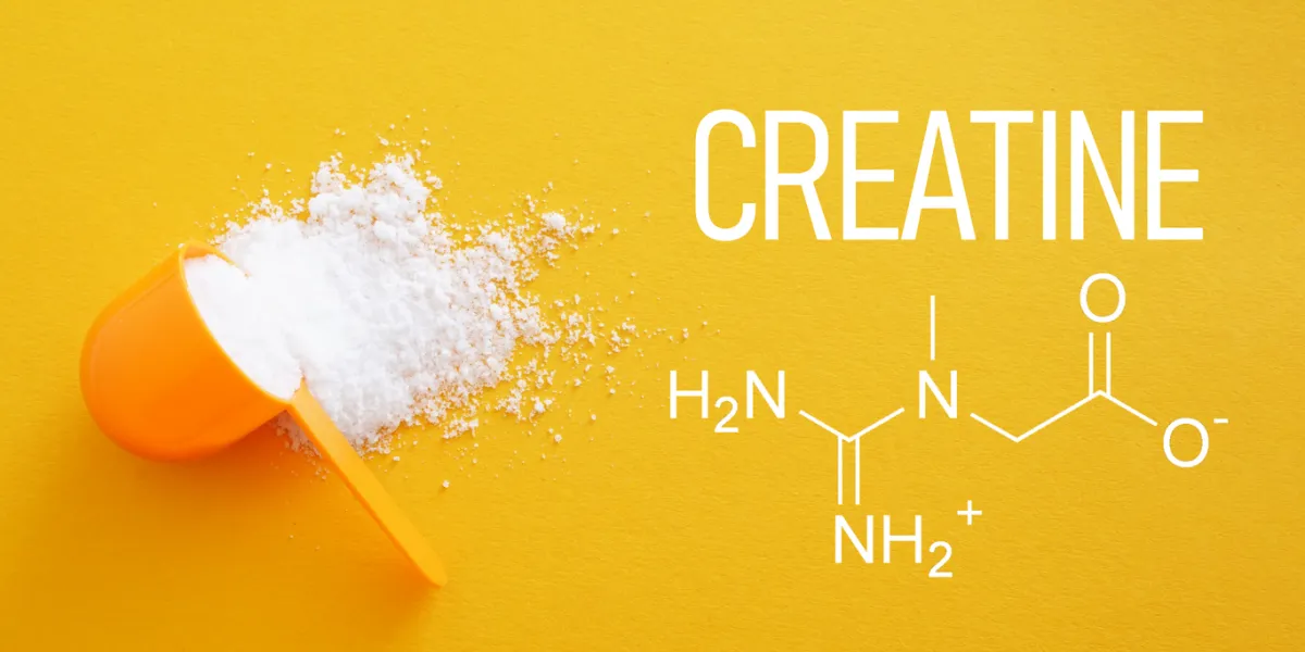 créatine