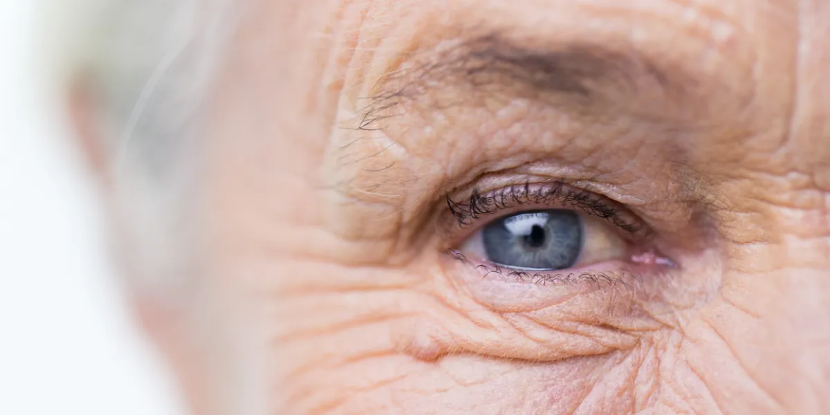 oeil