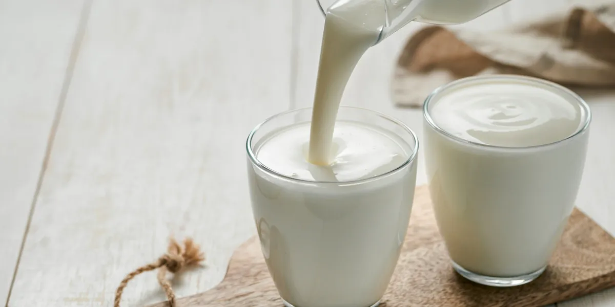 kefir
