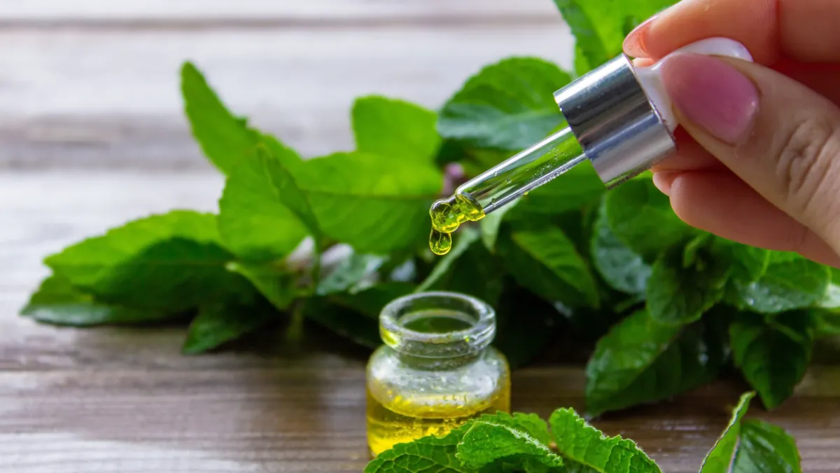 menthe poivrée
