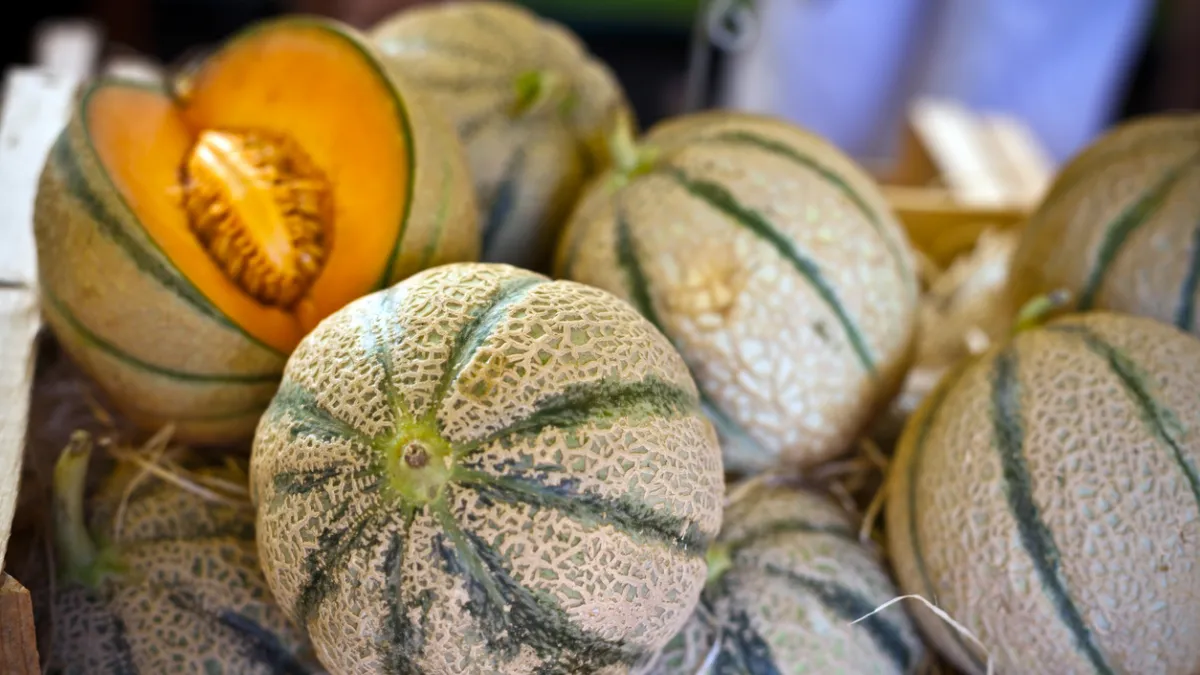 melon