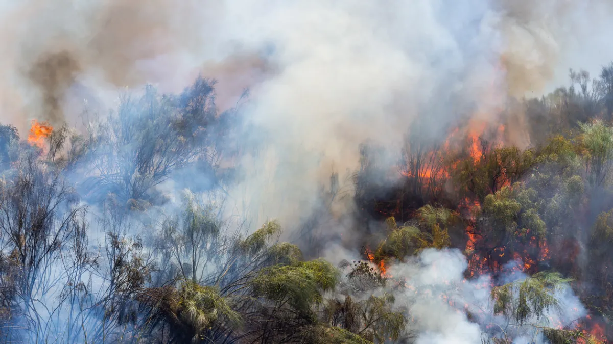 INCENDIE FUMEE