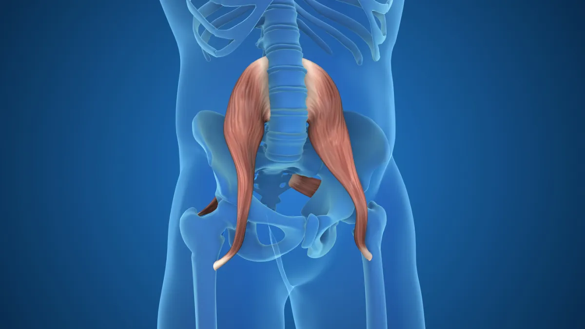 psoas