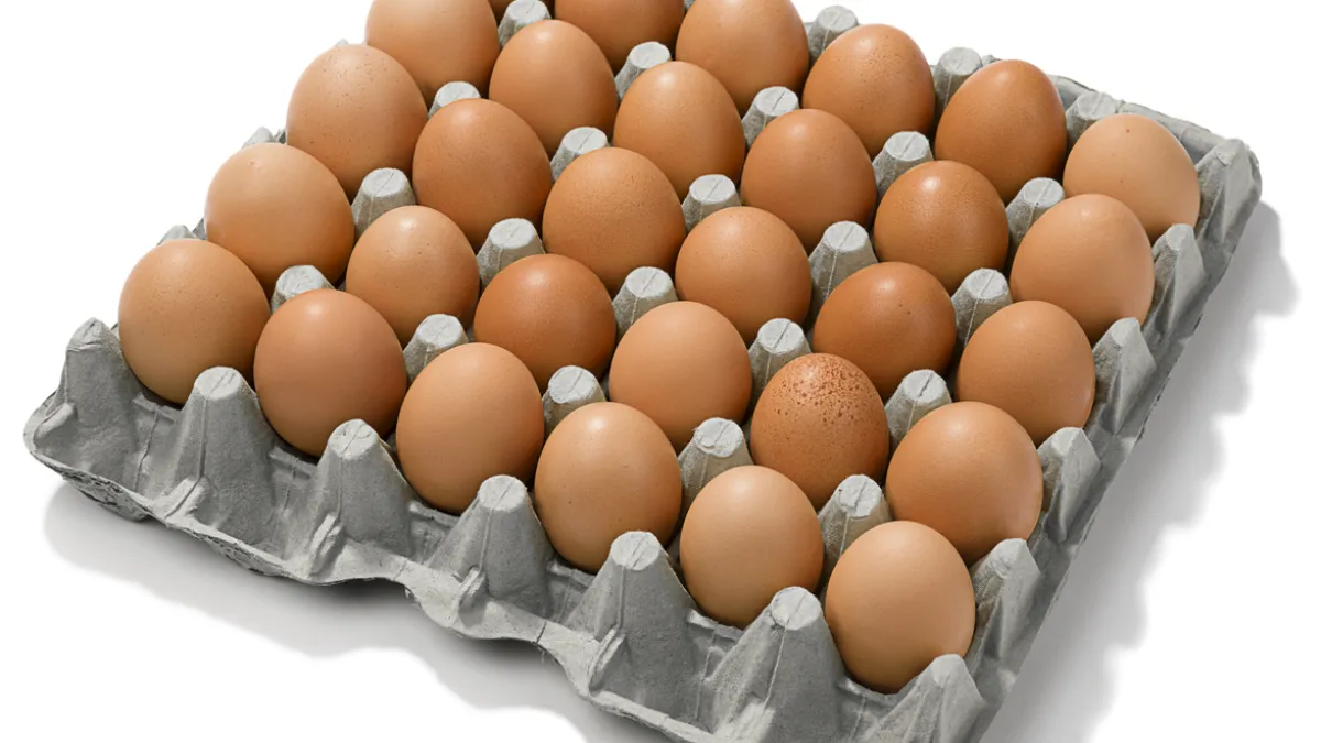oeufs