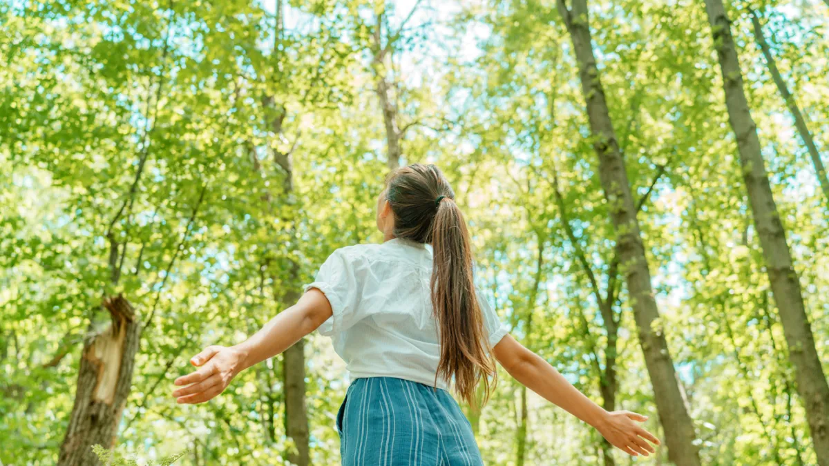 promenade en foret