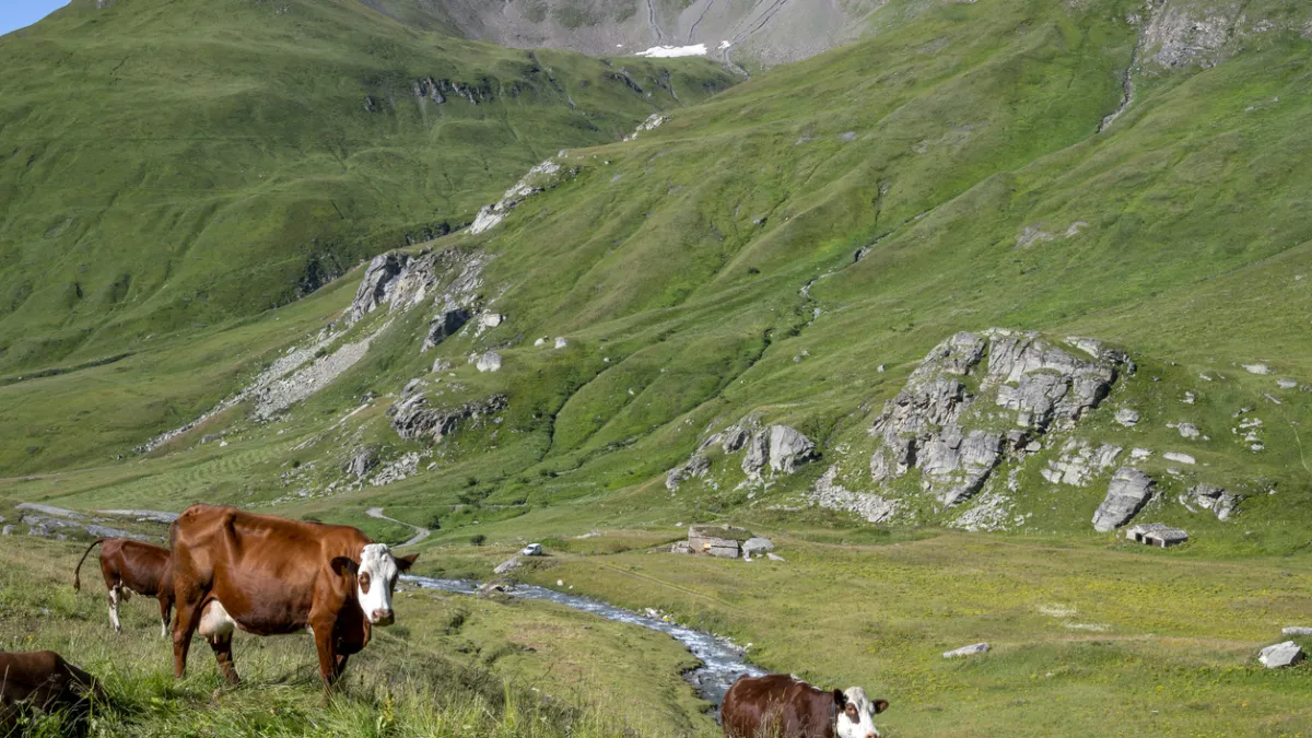 Légionellose en Savoie