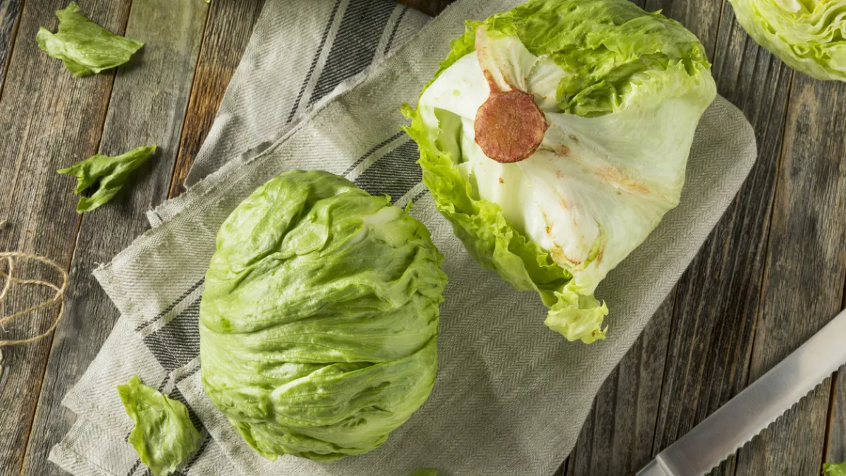 laitue iceberg