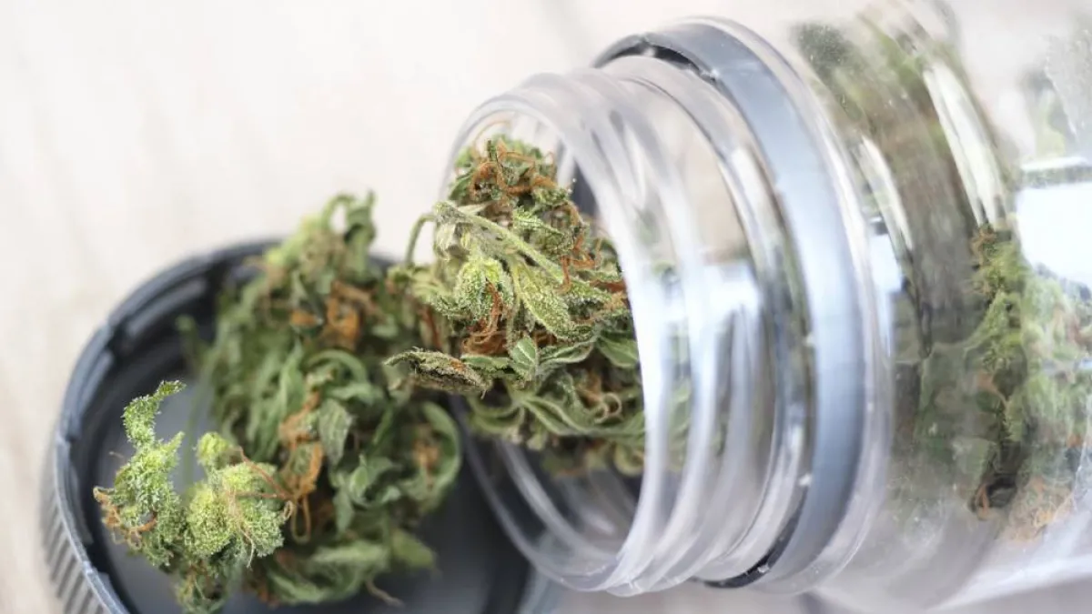 CBD