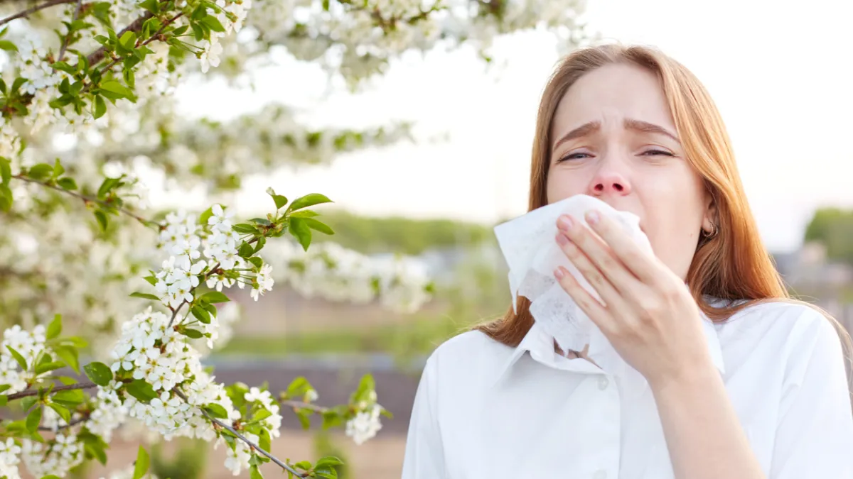 pollens
