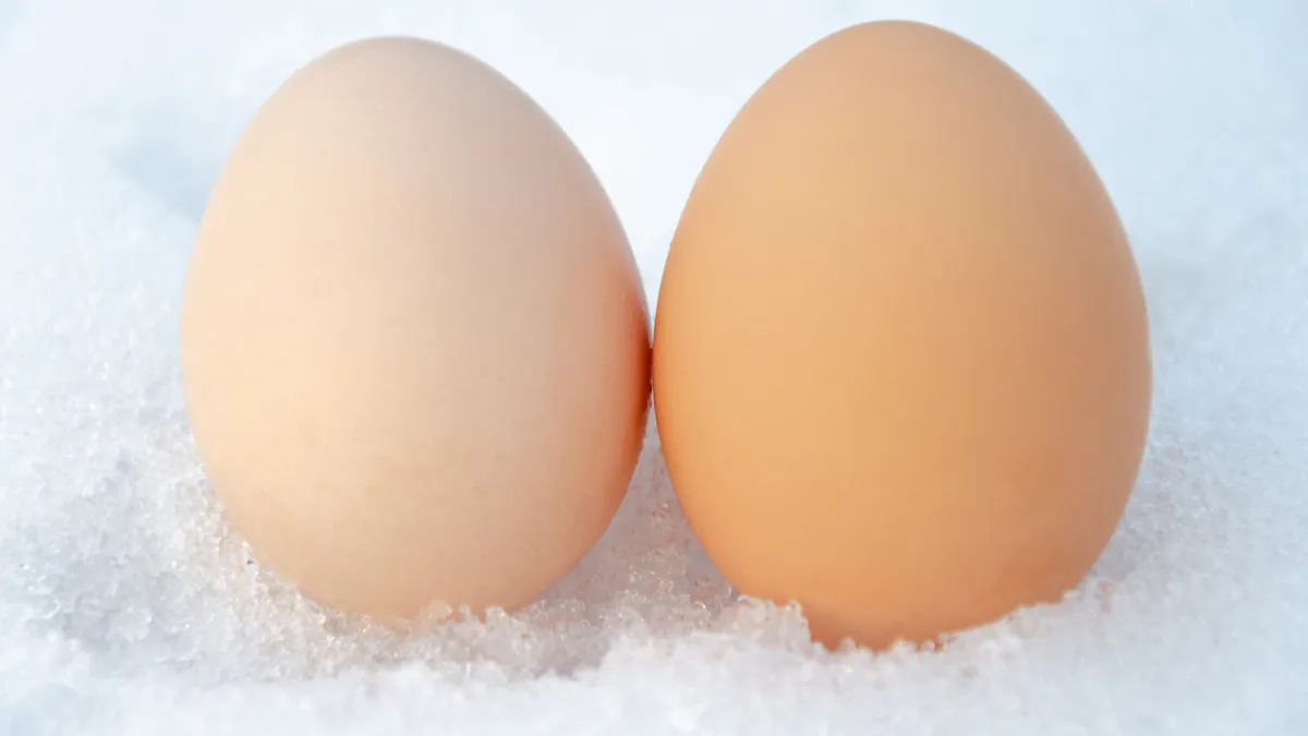 oeuf congelé
