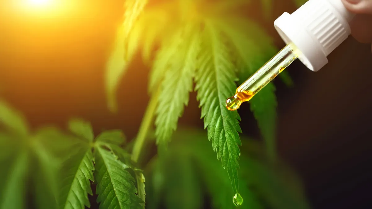 canabis et cbd